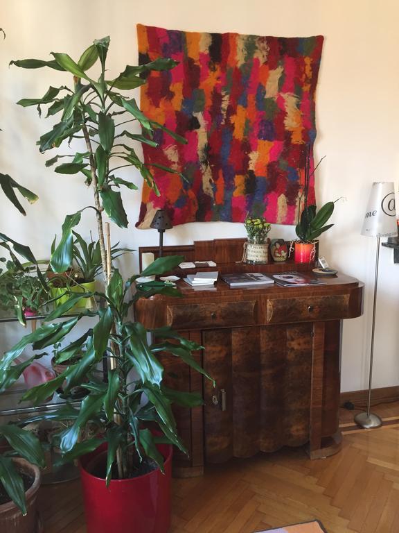 Dai Muli B&B Trieste Exteriör bild